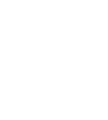 Voice assistant animation